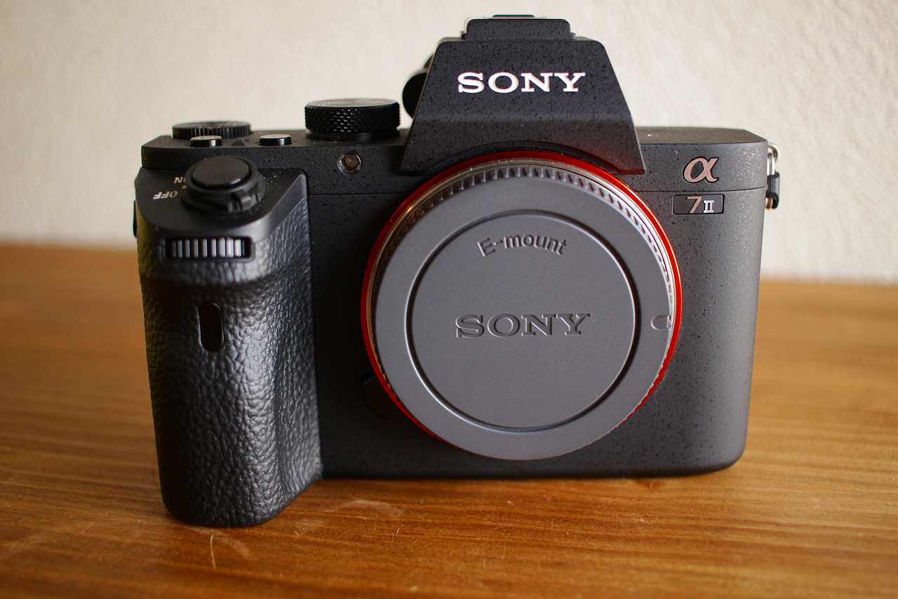 SONY α7II 初心者が35mmフルサイズ デビューにお勧めするミラーレスカメラは型落ちた今だからこそこれだと思います。 - MNKK CAMP  n' Roll - 2ページ